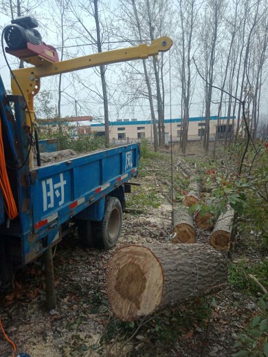 車載小吊機使用案例